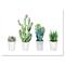 Designart - Cactus Succulent Aloe Vera Home Plants In The Pots - Farmhouse Canvas Wall Art Print